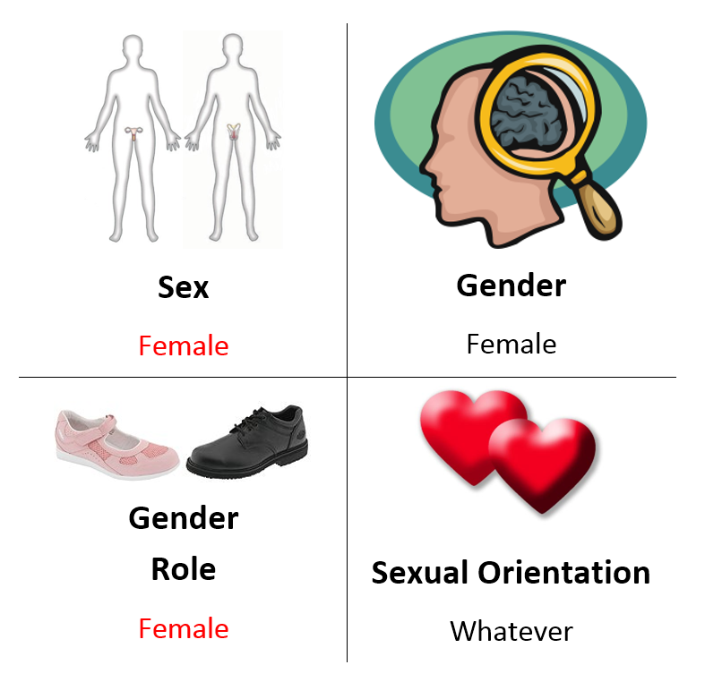 Post-op MtF transsexual